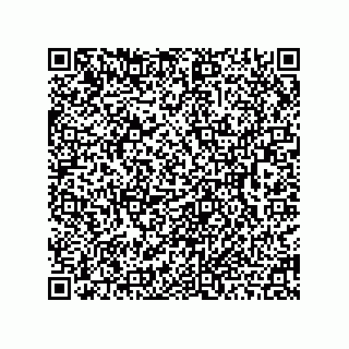vCard 78462110099