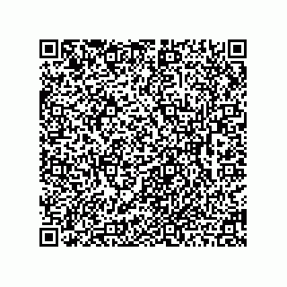 vCard 78462110131