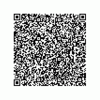 vCard 78462110333