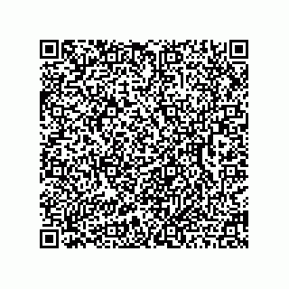 vCard 78462130803