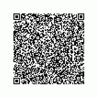 vCard 78462200399