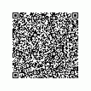 vCard 78462225498