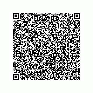 vCard 78462240281