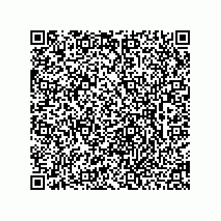 vCard 78462240313