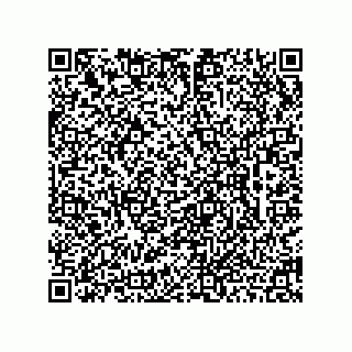 vCard 78462240380