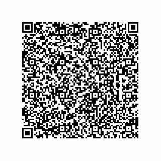 vCard 78462240381