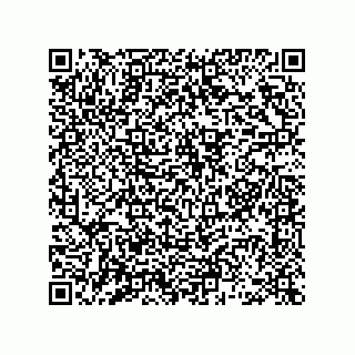 vCard 78462240382