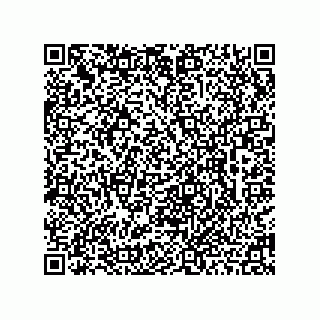 vCard 78462240384