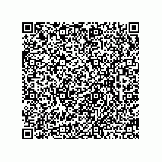 vCard 78462240385