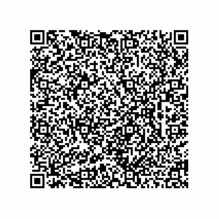 vCard 78462240388