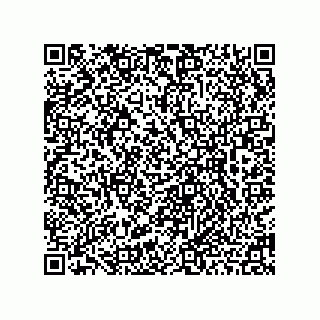 vCard 78462240407