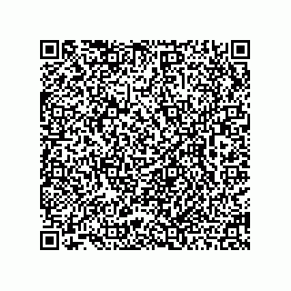 vCard 78462240411