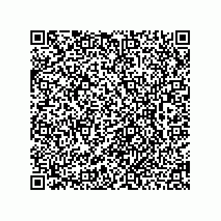 vCard 78462240512
