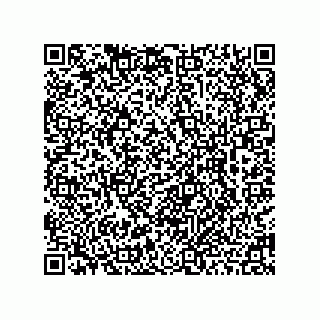 vCard 78462240576