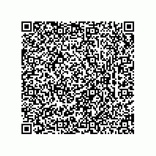 vCard 78462283339