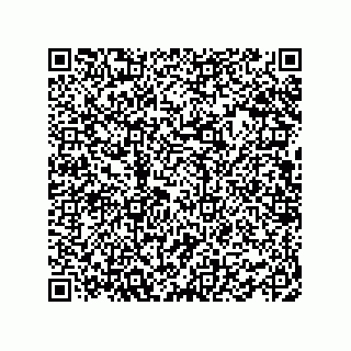 vCard 78462283539
