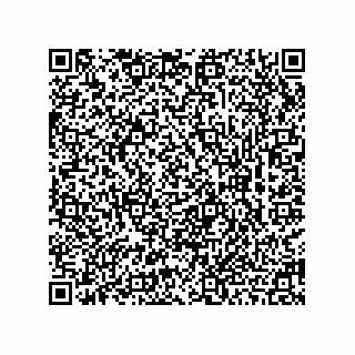 vCard 78462283731