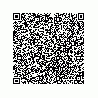 vCard 78462290002
