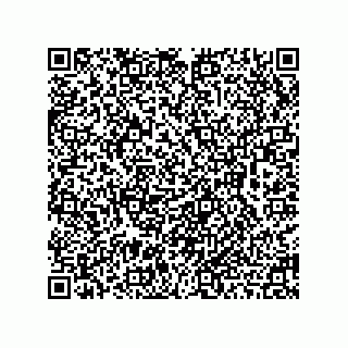 vCard 78462290887