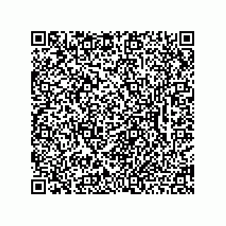 vCard 78462333119