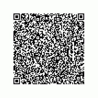 vCard 78462333131