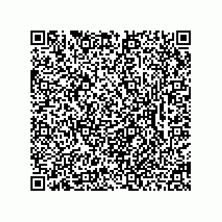 vCard 78462333137