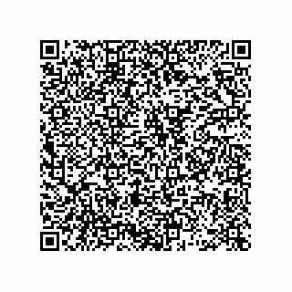 vCard 78462333159