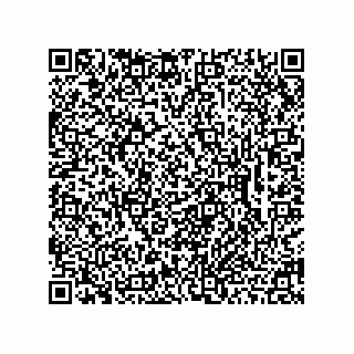 vCard 78462333167