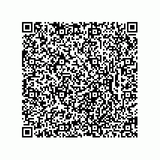vCard 78462333173