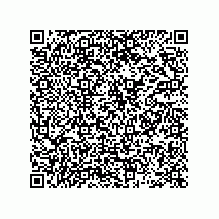 vCard 78462333179