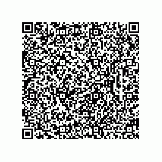 vCard 78462333181