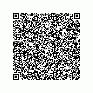vCard 78462333183