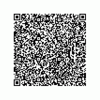 vCard 78462333187