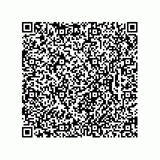 vCard 78462333189