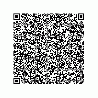 vCard 78462333199