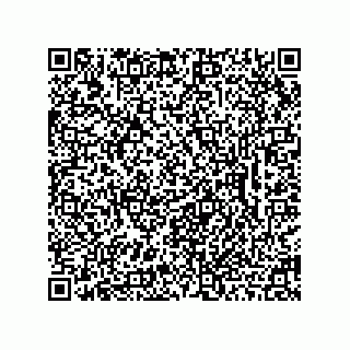 vCard 78462333201