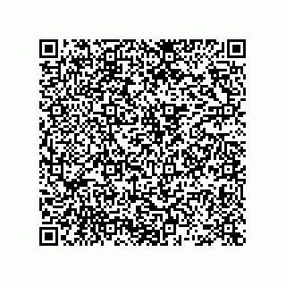 vCard 78462333202