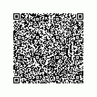 vCard 78462333205