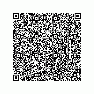 vCard 78462333207