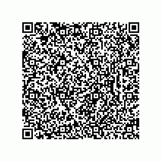 vCard 78462333208