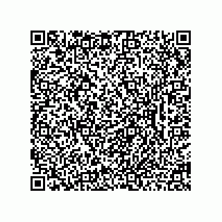 vCard 78462333211