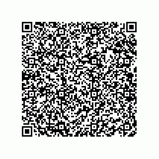 vCard 78462333217
