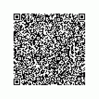vCard 78462333889