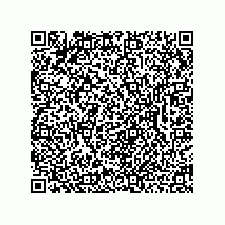 vCard 78462333891