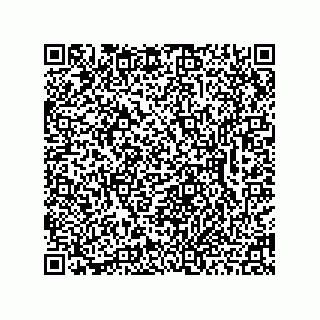 vCard 78462333893