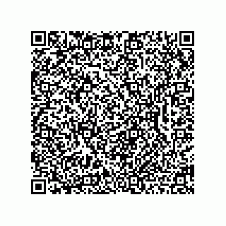 vCard 78462333895