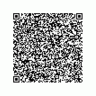 vCard 78462333897