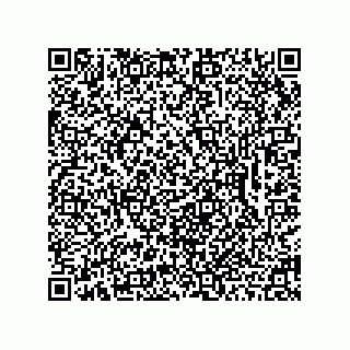 vCard 78462333900