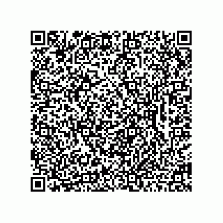 vCard 78462333903