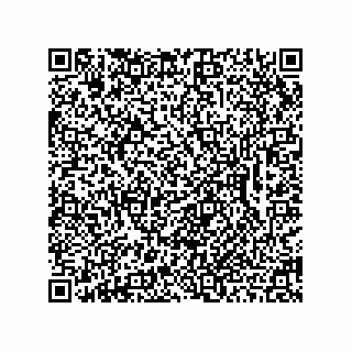 vCard 78462333905